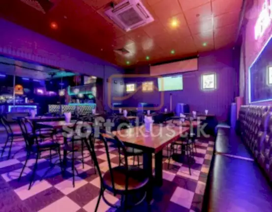 disco-bar-ses-yalitimi-ve-sinema-salonu-cozumleri