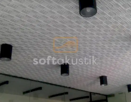 tavan-ses-yalitimi-ve-konser-salonu-akustigi
