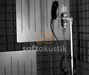 vicoustic-sunger-300x281